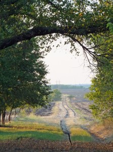 DSCF6601 013_edited-1