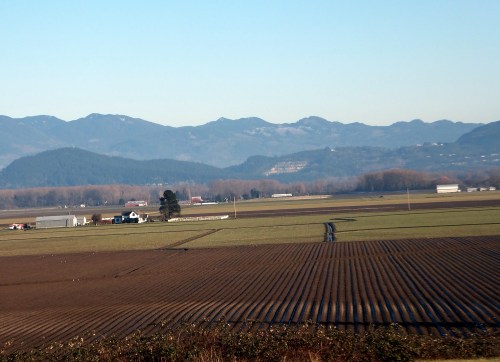 Anacortes Farm land