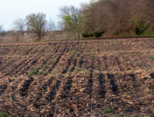 Plowed Ground 2