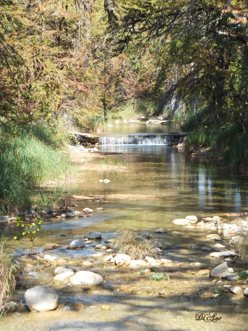 Along the Guadaloupe River