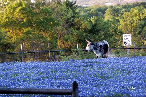 Black and white with sign